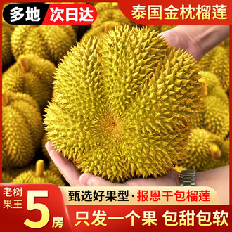 高級金枕榴莲モントーン種 冷凍ドリアンMonthong 470g*10p セット うう