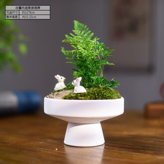 藍釉開片八方鉢 盆栽 多肉菖蒲盆栽 植木鉢 景德镇 装饰品 工艺品 置物 5 菖蒲 | クラフト盆栽美術館 Artcraft Bonsai