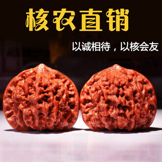 白狮子头品牌排行榜- 十大品牌- 京东