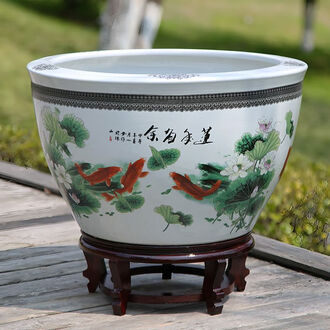 水缸荷花排行榜- 京东