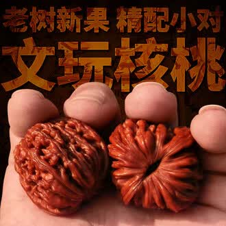 狮子头小文玩核桃排行榜- 京东