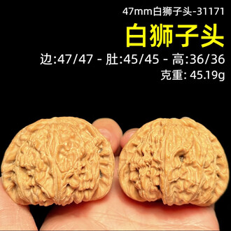 サマーセール ミニグランド バンドル 白狮子头品牌排行榜- 十大品牌- 京东 その他