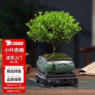 盆栽台、水石、茶台、高級紫檀彫刻　座卓、　在銘　普山 盆栽台、水石、茶台、高級紫檀彫刻 座卓、 在銘 普山 美術品