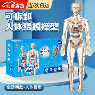 人体脊柱模型排行榜- 京东