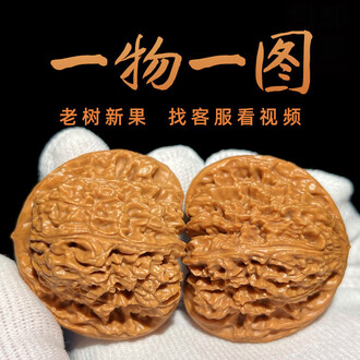 南疆石核桃排行榜- 京东