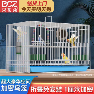 鳥籠　御盃 空中選美款白鐵鳥籠| 川拓金屬