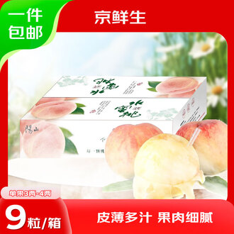 爆買い 英語 水蜜桃水蜜桃礼盒排行榜- 京东 その他
