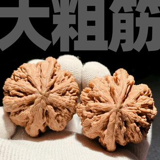 粗筋文玩核桃排行榜- 京东