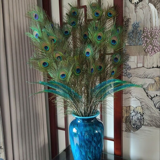 花瓶孔雀 花瓶孔雀排行榜- 京东