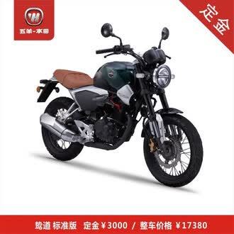 大r摩托车品牌排行榜 十大品牌 京东