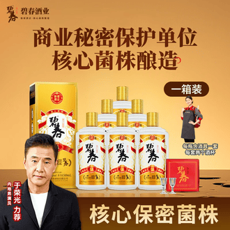 53% 480ml 【2本セット・春節にどうぞ！】醬香型白酒　迎春 君道贵酿韶华酒500ML JD-002_坚朗云采 酱香型白酒53%vol その他