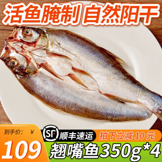 本物】琵琶湖大鯰乾燥標本 レジン封入 【珍魚】-