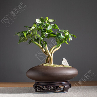 藍釉開片八方鉢 盆栽 多肉菖蒲盆栽 植木鉢 景德镇 装饰品 工艺品 置物 藍釉開片八方鉢 盆栽 多肉菖蒲盆栽 植木鉢 景德镇 装饰品 工艺品
