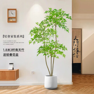 花花裝飾品牌排行榜- 十大品牌- 京东