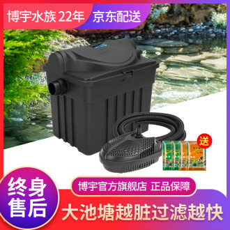 水质是养鱼的关键