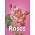 Roses/