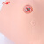 沪模 HM/F7BZ乳腺视诊与触诊模型 乳腺检查模拟人女性乳腺临床诊断自我检查教学模型教学器材