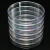 冰禹 培养皿 一次性塑料 细胞细菌培养皿 90mm(500个/箱) BYS-283