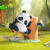 Panda Roll胖哒幼熊猫果果树系列盲盒可爱生日礼物公仔摆件 早安小鸟拆盒确认