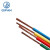 起帆QIFAN 电线电缆ZB-BVR-450V/750V-10平方单芯多股软线100米/卷 绿色