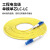 良浦 电信级单模万兆光纤跳线 单模单芯Φ3.0（LC-LC，9/125）30米 光纤线尾纤跳纤 NG-1LC-LC-S30