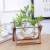 馳爵（CHIJUE）客厅插花摆件创意玻璃小花瓶简约透明水培小型植物容器小口养花盆 单边款（带1种植物） 中等