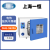 一恒电热恒温鼓风干燥箱烘箱实验室烤箱恒温小型灭菌消毒烘干箱 DHG-9013A(至250℃/16L)