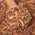 溪味道东北野生松树伞蘑菇干长白山特产红蘑干货食用菌肉蘑 精品罐装红蘑干60g