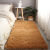加厚地毯客厅ins北欧卧室少女网红床边毯飘窗榻榻米房间脚垫地垫 长毛素色-深驼色+陹 厸+6o*2oo厘米（加厚升级款）