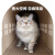 爱丽思宠物猫咪背包泰迪外出便携旅行箱便携提篮手提箱车载箱中型 茶色 BL460