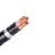郑特（ZZTL）电线电缆YJV22-3*50+1*25平方 国标铜芯铠装电缆地埋电缆 黑色1米