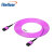 FiberHome 光纤跳线 MPO-MPO 多模12芯 紫色 25m 25m12芯
