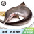 流连湾新鲜小鲨鱼 深海鱼海鱼海鲜水产鲨鱼肉 普通1条0.6-0.8斤【顺丰】 整条速冻保鲜发货【顺丰】