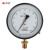 红旗 YB-150精密压力表水压表空气压表高精度真空压力表液压精度0.4,M20*1.5,径向 0-60MPA 