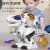 玉扬儿童玩具男孩智能机器人陪伴遥控恐龙3-6-8岁生日儿童 [48CM仿真迅猛龙]5发软弹款