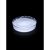 PVDF900HSV粘结剂聚偏二氟乙烯粘接剂法国阿科玛锂电池沾合粉末 白色 20g(科研品质)