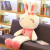 星期树 2023兔年公仔毛绒玩具小兔子布娃娃儿童大抱枕女朋友情人 粉色眯眼兔 100cm