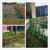 不锈钢仿竹护栏景区庭院园林公园市政围墙新农村建设竹节围栏定制 15米高每米价格颜色黄绿