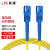 良浦 电信级单模万兆光纤跳线 单模单芯Φ3.0（SC-SC，9/125）30米 NG-1SC-SC-S30