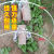 种菜棚架新型农用小拱棚支架遮阳防虫网拱杆菜地骨架暖棚育苗 4毫米1.4米长20根(送手套)