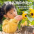 儿童种植小盆栽向日葵种孑草莓幼儿园种籽实验植物种子太阳花套装 凤仙花种子 透明盆套装