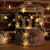加达斯太阳能星星灯串LED彩灯闪灯满天星户外防水花园别墅装饰灯 暖光色 5米20灯