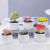 行湘多肉植物肉肉室内花卉植物室内桌面盆栽 条纹12卷+小米缸陶瓷盆