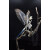 妙普乐自由的骨头 树枝款鹦鹉骨骼标本鸟骨架 黄绿鹦鹉收翅款