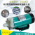 MP-10RN/15RM/20R/30R/55R耐腐蚀电渡水泵器泵微型磁力泵 MP-100R
