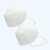 工霸（GONGBA）N95防护口罩防飞沫防尘成人口罩灭菌级 非独立包装 5只/袋