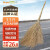 Supercloud大扫把竹环卫马路物业柏油道路地面清扫清洁大号笤帚扫帚 竹杆5斤款 10把