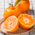 橄表白浙江椪柑 衢州芦蜜橘子9斤新鲜碰柑应当季桔水果中大果整箱 9斤 大果