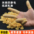 橡胶手指套防静电米黄电子工业耐磨劳保防护一次性乳胶手指套无粉手指套 手卷米黄500克