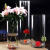 维诺亚大号透明直筒玻璃花瓶批发落地富贵竹装饰花瓶水培花器摆件ins风 口20cm高度40cm